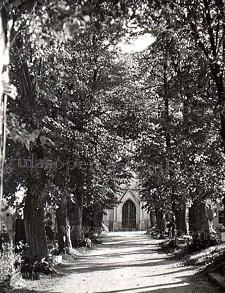 hřbitov_1959_09.08._001