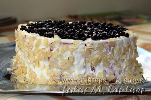 melounovy-dort-06.jpg